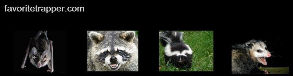 Banner_favorite_trapper_banner