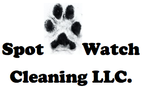 Spotwatch Cleaning